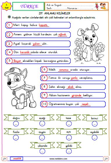 2. Sınıf Türkçe Zıt Anlamlı Kelimeler Etkinliği